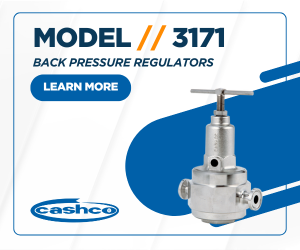 Model 3171